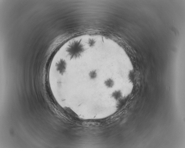 X0000111220242200908131108
