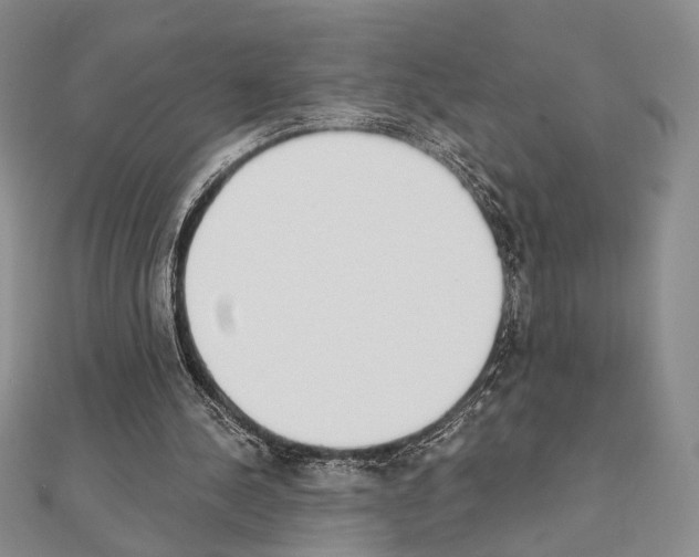 X0000111220244200908131108