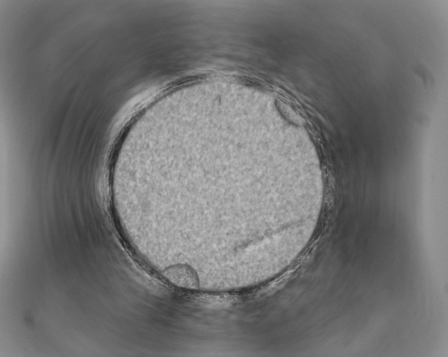 X0000111220245200908131108