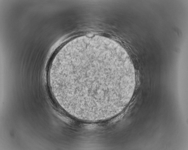 X0000111220246200908131108