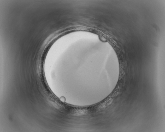 X0000111220247200908131108