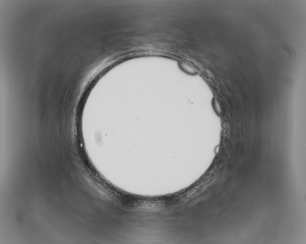 X0000111220248200908131108