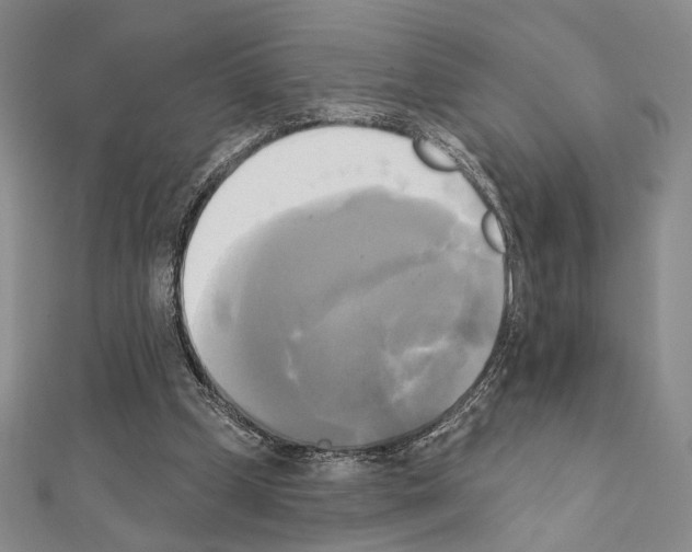 X0000111220249200908131108