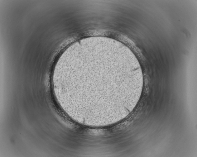 X0000111220250200908131108