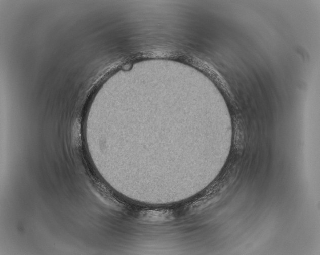 X0000111220251200908131108