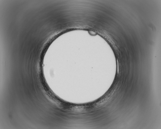 X0000111220252200908131108