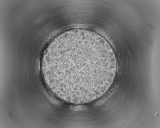 X0000111220253200908131108