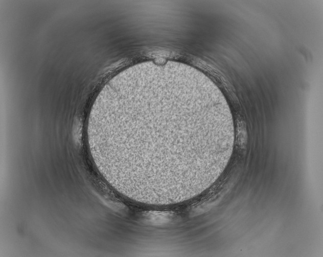 X0000111220255200908131108