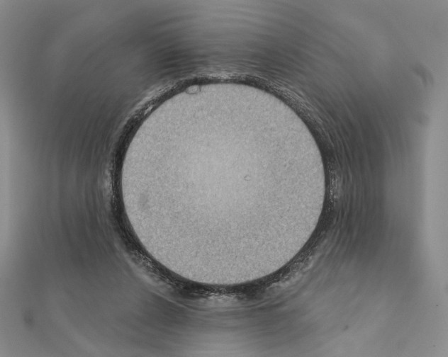 X0000111220256200908131108