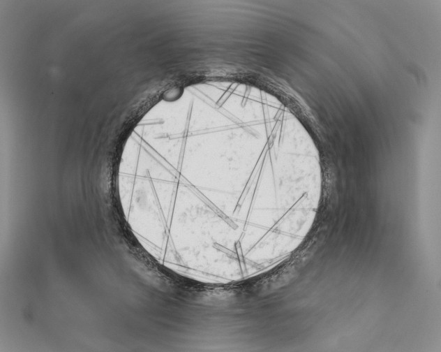 X0000111220257200908131108