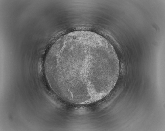X0000111220259200908131108