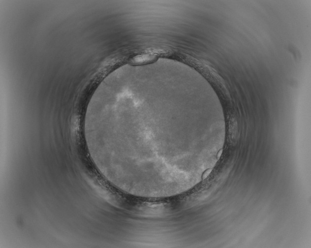 X0000111220260200908131108