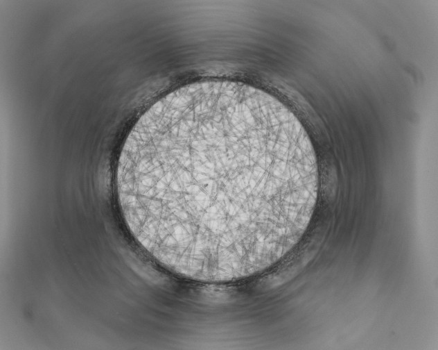 X0000111220261200908131108
