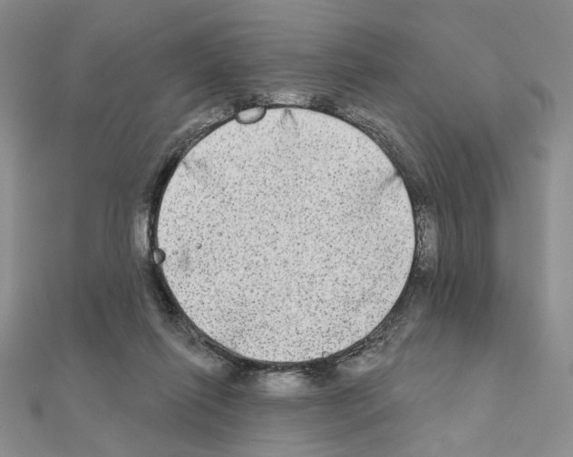 X0000111220262200908131108
