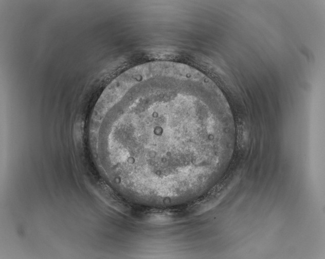 X0000111220263200908131108