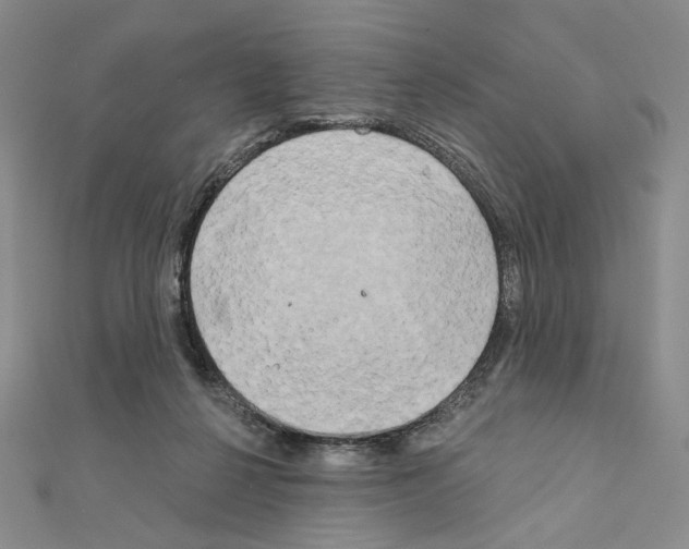 X0000111220264200908131108