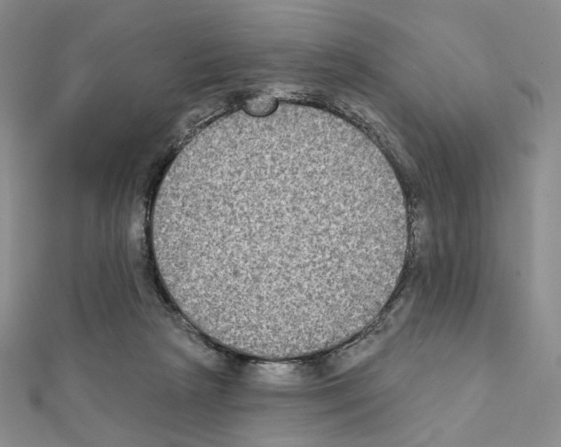 X0000111220265200908131108