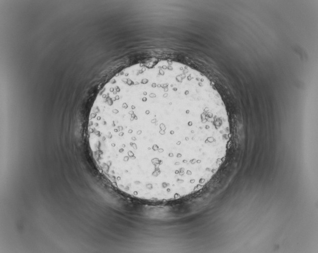 X0000111220266200908131108