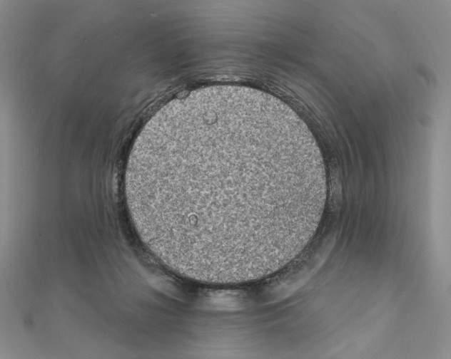 X0000111220268200908131108