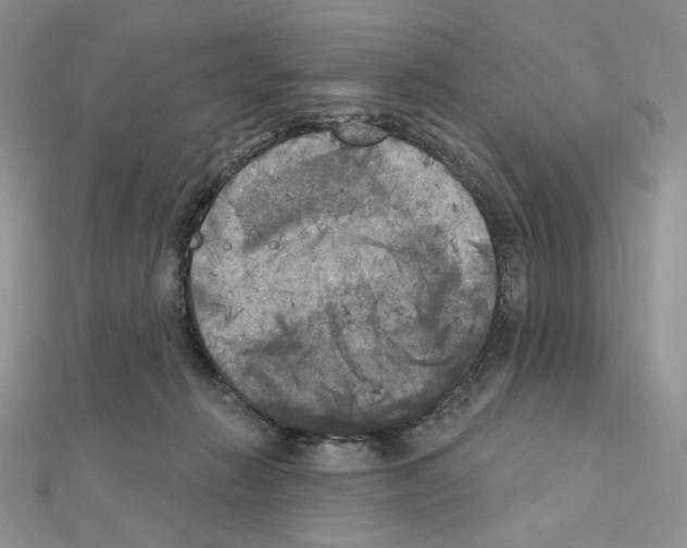 X0000111220270200908131108