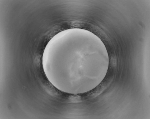 X0000111220271200908131108