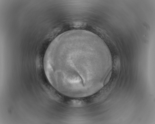 X0000111220272200908131108