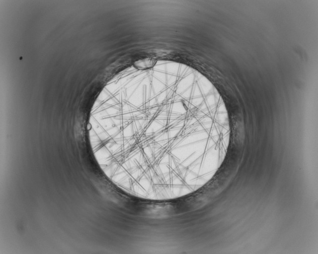 X0000111220274200908131108