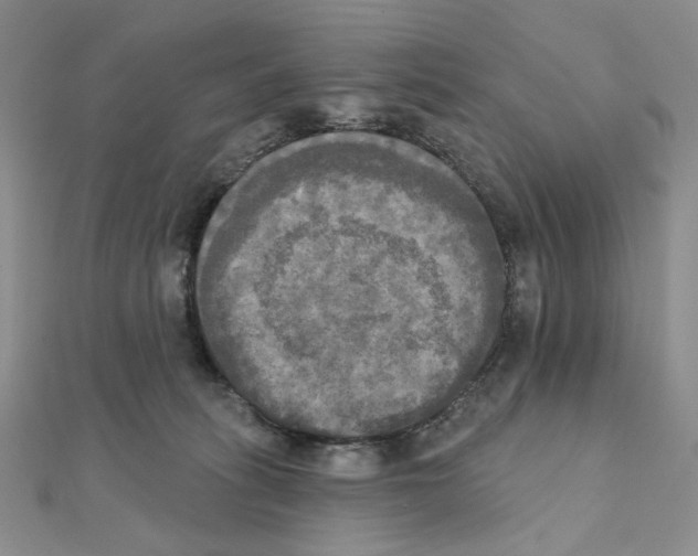 X0000111220275200908131108