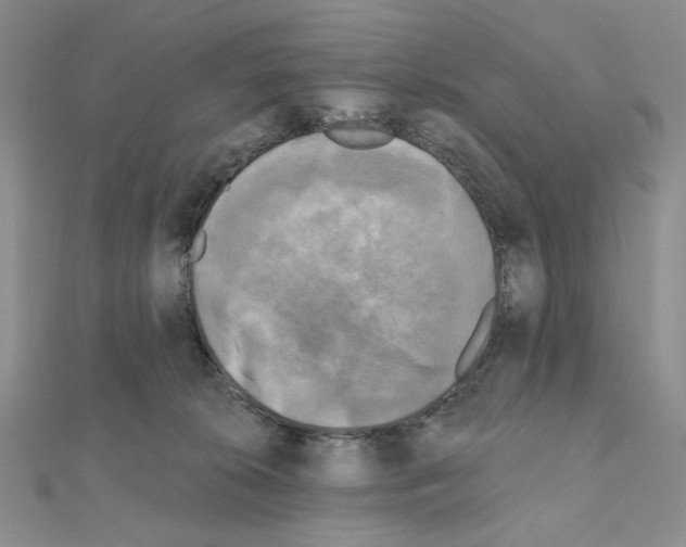 X0000111220276200908131108