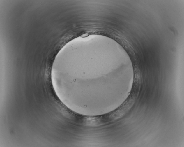 X0000111220277200908131108