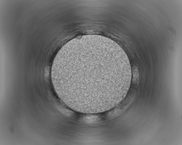 X0000111220278200908131108