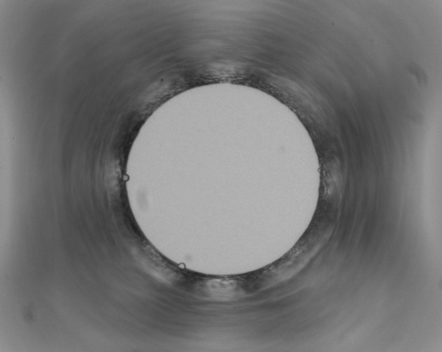 X0000111220279200908131108