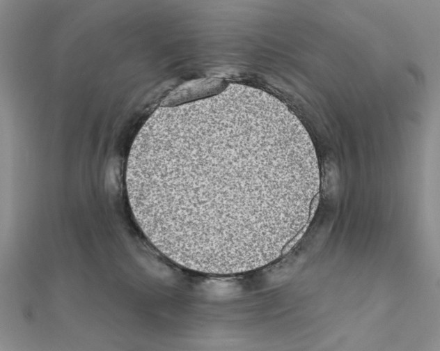 X0000111220280200908131108