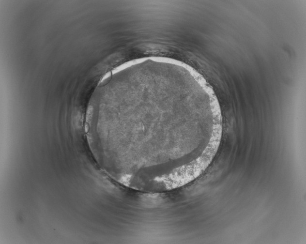 X0000111220281200908131108