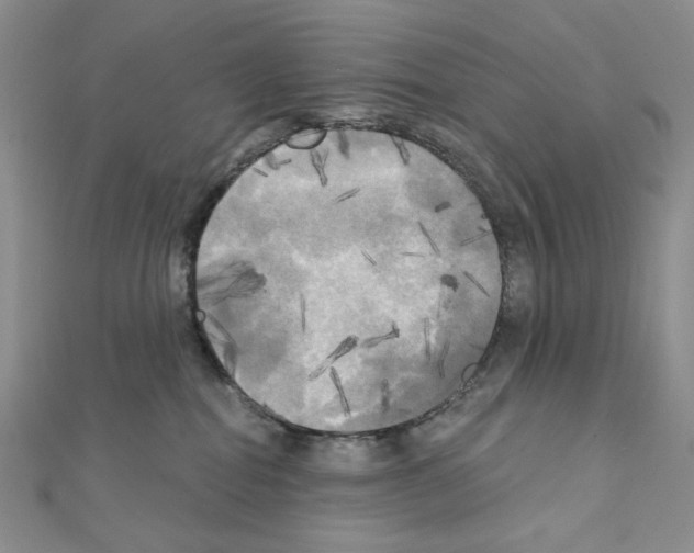 X0000111220282200908131108