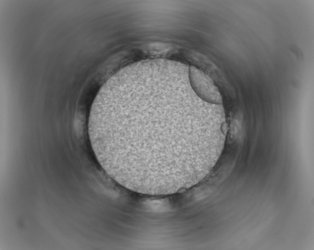 X0000111220283200908131108