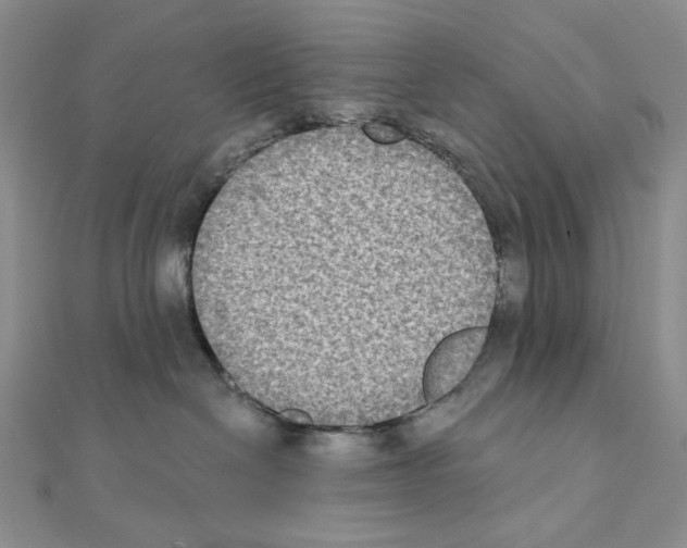 X0000111220286200908131108