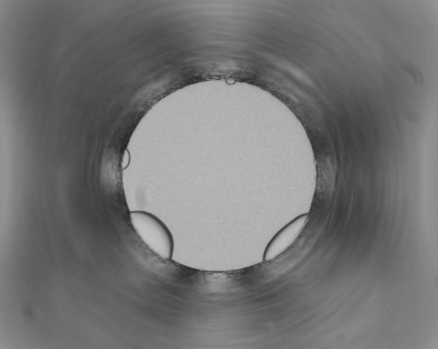 X0000111220287200908131108