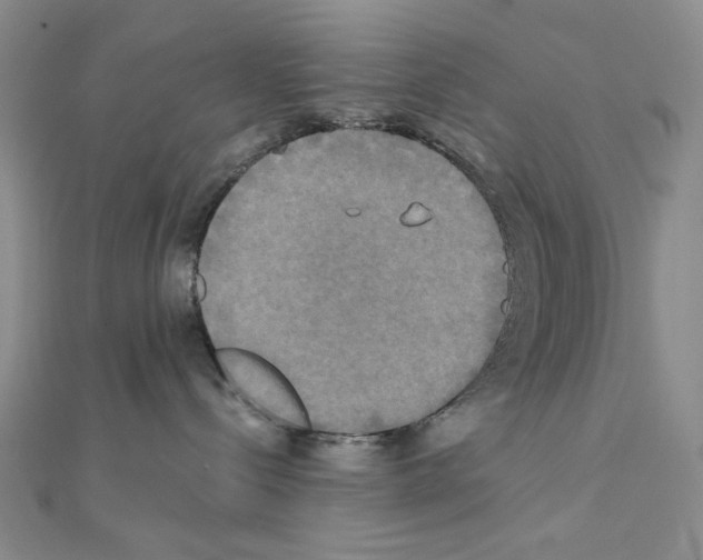X0000111220288200908131108