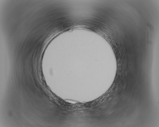 X0000111220289200908131108