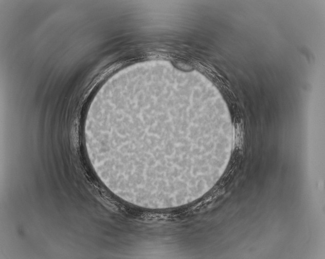 X0000111220291200908131108