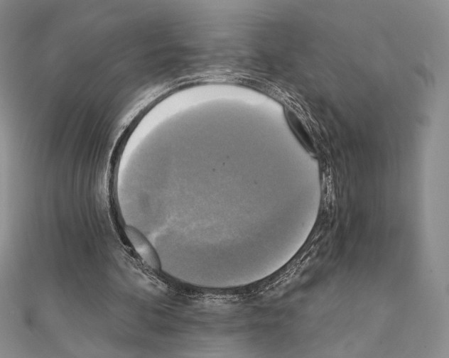 X0000111220292200908131108