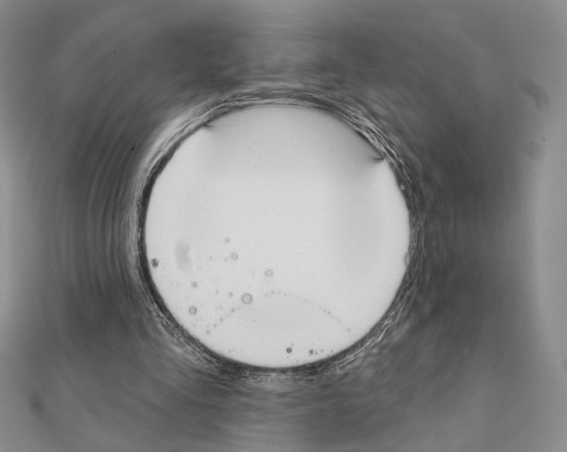X0000111220293200908131108