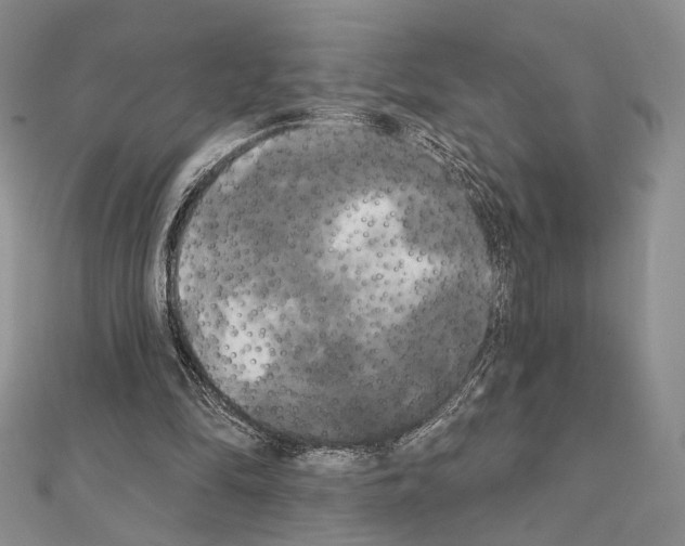 X0000111220294200908131108