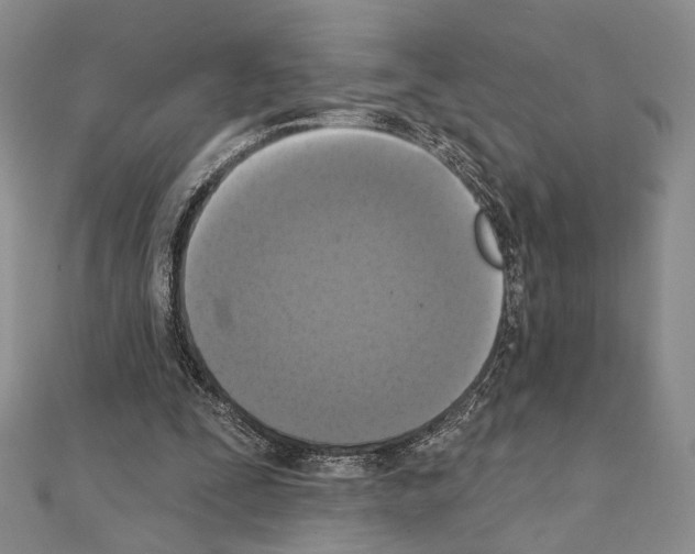 X0000111220295200908131108