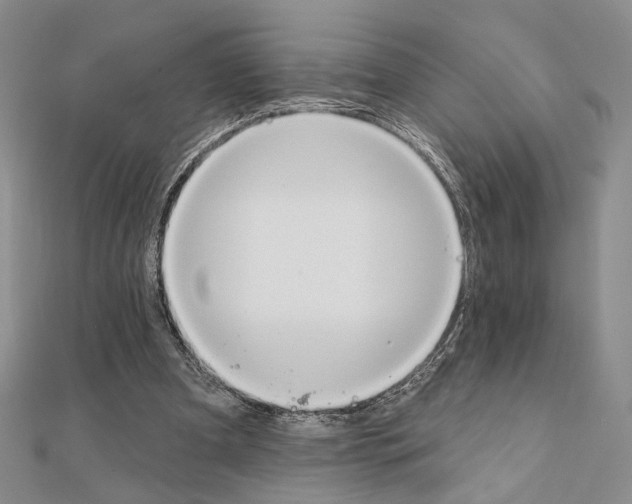X0000111220297200908131108