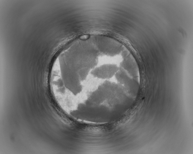 X0000111220299200908131108