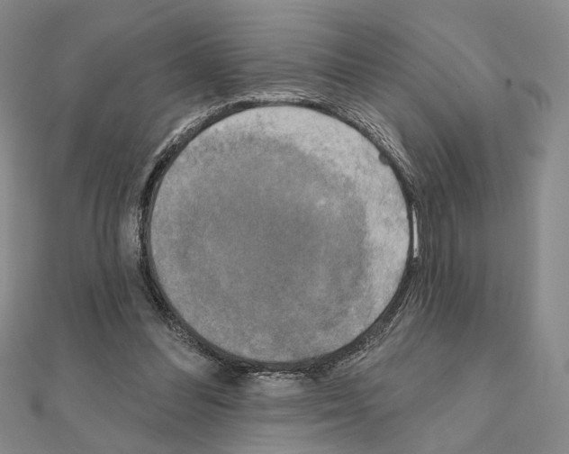 X0000111220300200908131108