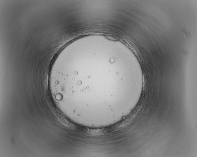 X0000111220301200908131107