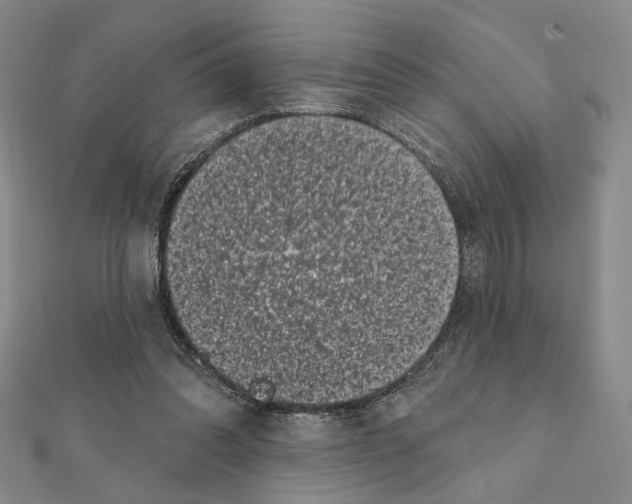 X0000111220302200908131107